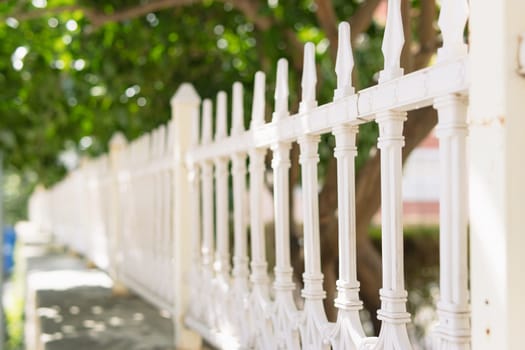metal white fence in the park on the street, protects trees from dogs and animals. High quality photo