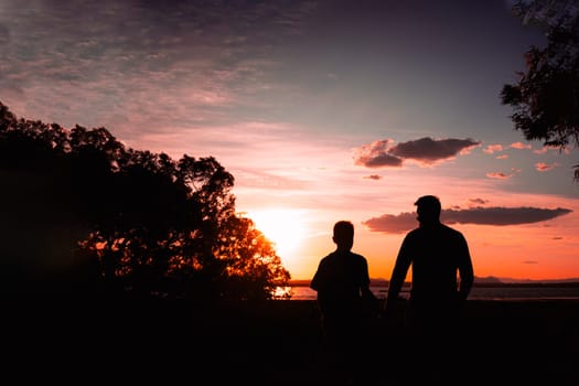 silhouette of father and son against nature background with raised hands, concept of family and success, close-up with space for inscription. High quality photo