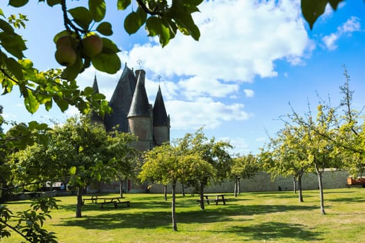 an old castle in France, around the castle green grass and trees grow on a large plot there is a place for an inscription, a beautiful landscape and background. High quality photo