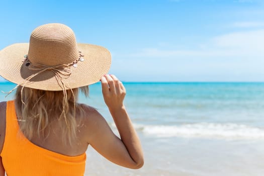 girl with her back turned to the camera, close-up, the girl is standing in a brown dress and a swimsuit, there is a place for an inscription. a beautiful seascape with a girl. High quality photo