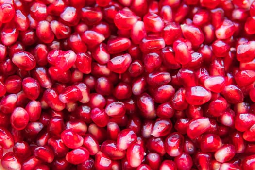 bright background with red pomegranate berries. High quality photo