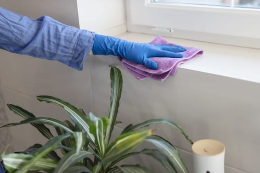 a young woman in blue gloves cleans a white tile on a window in the bathroom with a yellow napkin. A green flower stands nearby. Cleaning concept