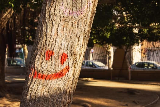 tree close-up, painted smiley face on the tree with red paint, close-up smiling smiley face on the tree. High quality photo