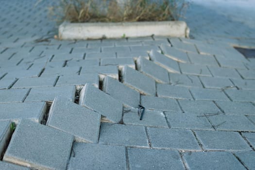 damaged gray paving slabs in a park, close-up with space for an inscription. High quality photo