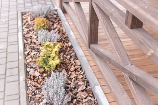 a brown wooden fence on the terrace outside and bushes of various plants covered with tree bark