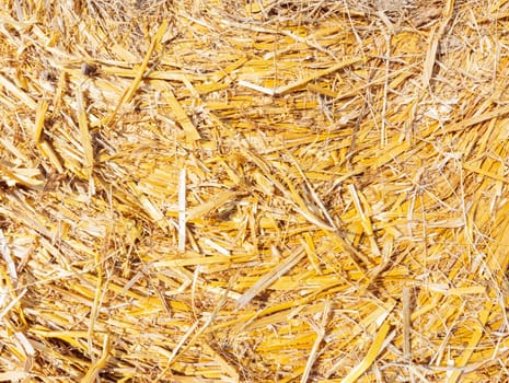 background for the inscription straw close-up.background agricultural and yellow. High quality photo