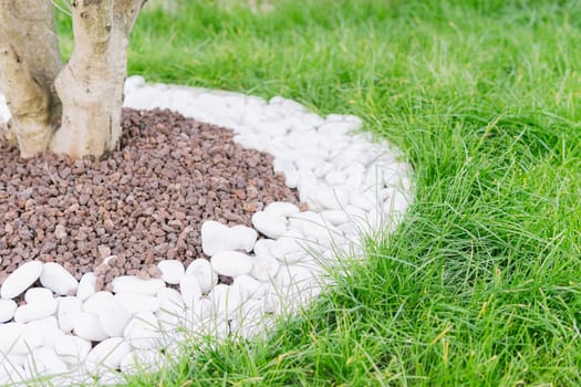 beautiful fence with stones for a tree, design ideas in the garden. green grass around High quality photo