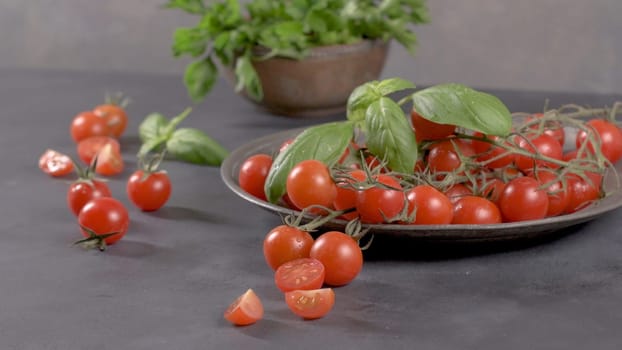 Small red cherry tomatoes on rustic background. Cherry tomatoes on the vine