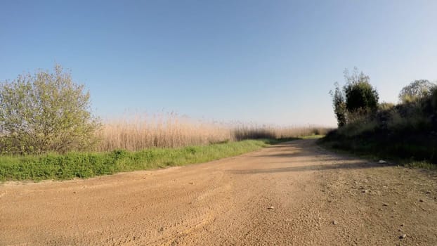 Point of view shot of riding a bicycle in Estarreja, Portugal. Features a wide view of the bike track and the natural scenery as it travels.