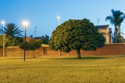 Evening summer landscape of nature against the blue sky and green grass and trees, there is a place for an inscription. High quality photo