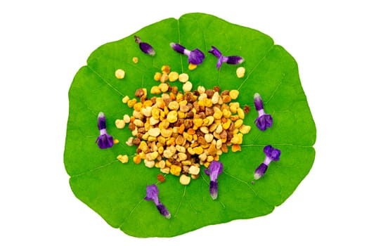 Macro shot of bee pollen on green nasturtium leaf white background. Raw brown, yellow, orange and blue flower pollen.