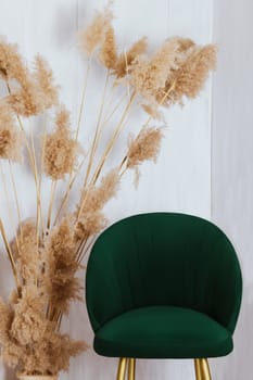 The decor of the room is a green bar stool and shaggy branches of reeds on a white wall background