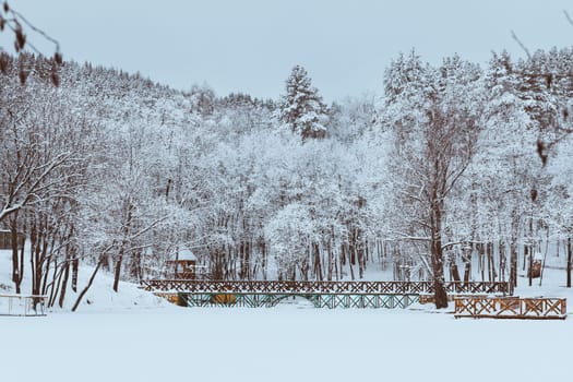 Winter landscape with a bridge and trees covered with frost