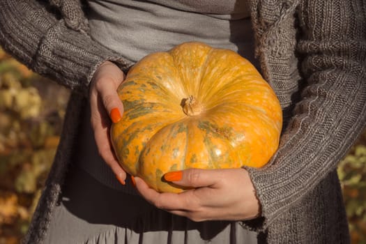 A woman holds a ripe orange round pumpkin in her hands