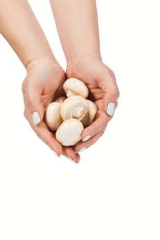 Mushrooms champignons in women's hands on a white background