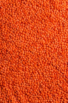 Red edible lentils for the whole frame