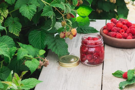 Raspberry berry fresh in a clay plate and in a can for canning on a wooden table near a raspberry bush. Horizontal view