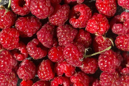 Juicy red raspberries close-up. Raspberries are rich in vitamins and are used in medicine