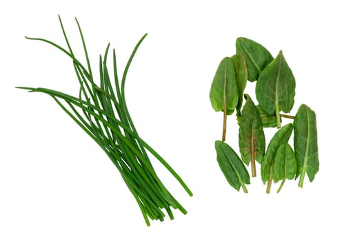 Fresh onion and spinach leaves on an isolated white background. They are used for cooking various dishes