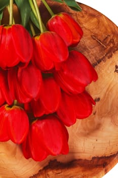 Red tulips lie on a wooden plate on a white background, close-up