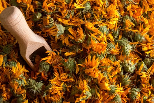 Dried calendula herb flowers. Calendula broth improves health