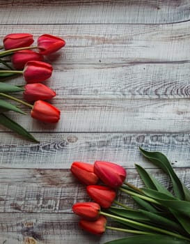 Red tulips with leaves lie on a wooden background