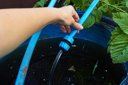 Photo a woman hand holding a blue watering hose. Watering plants. Garden. Gardening. Irrigation systems.