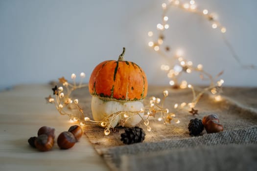 Two pumpkins lie on the table among hazelnuts and small cones. Garland with warm light lanterns. Bokeh with yellow light. Pumpkin is a symbol of autumn. Thanksgiving, Halloween, Christmas, New Year.