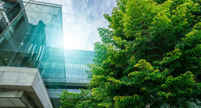 Sustainable green building. Eco-friendly building. Sustainable glass office building with trees for reducing carbon dioxide. Green company office with green environment. Corporate building reduce CO2.