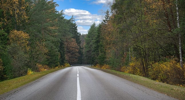 Two-lane asphalt road running straight ahead through a forest, on either side of the road, trees in green and yellowish tones, suggesting that the season is autumn