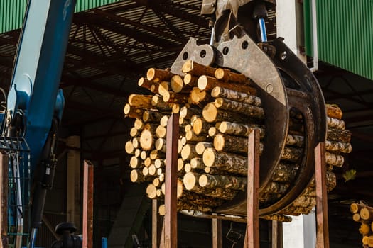 Log loader or forestry machine loads a log truck.