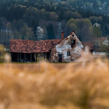 Old abandoned austrian farm house shot with foreground bokeh. High quality photo