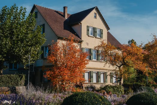 House with nice garden in fall. Flowers in the Park. Bietigheim-Bissingen. Germany, Europe. Autumn Park and house, nobody, bush and grenery