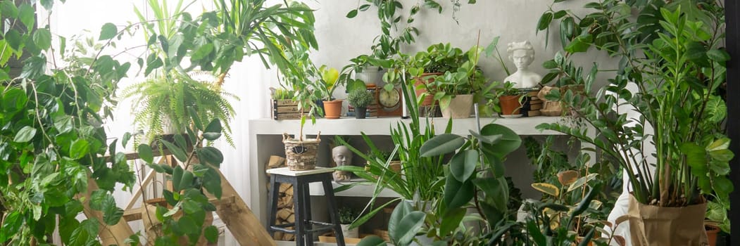 A fragment of the interior with a variety of indoor plants and plaster sculptures. Urban jungle concept. Biophilia design.
