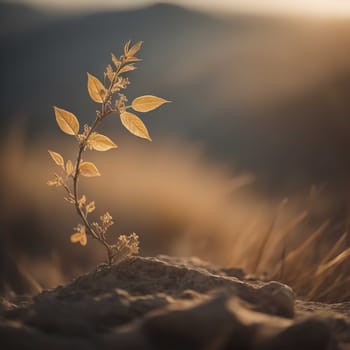Plant in the desert at sunset time. Beautiful nature background. generative ai