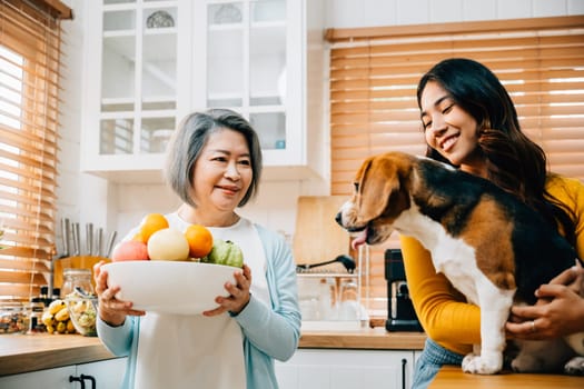 In the kitchen, an Asian family, including the grandmother and daughter, enjoys playful moments with their Beagle dog. The joy, togetherness, and owner-pet friendship are heartwarming.