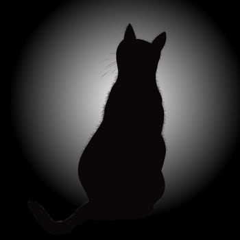 Black cat silhouette in contrast with backlight