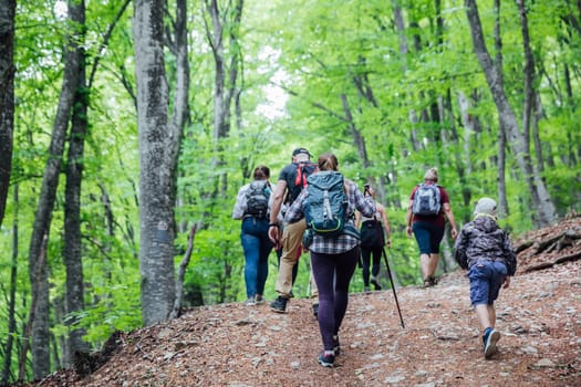 Mom son hiking in the forest