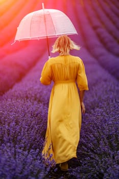 Woman lavender field. A middle-aged woman in a lavender field walks under an umbrella on a rainy day and enjoys aromatherapy. Aromatherapy concept, lavender oil, photo session in lavender.