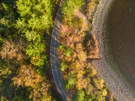 Aerial view of forest road with pine trees on both sides in autumn