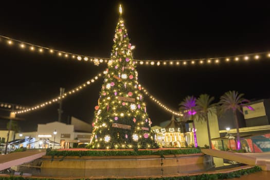 Christmas tree with lights outdoors at night in mallorca . New Year's Eve celebration,