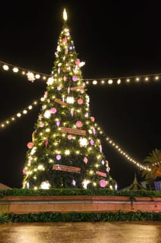 Christmas tree in the Plaza del Comercio in the capital city.