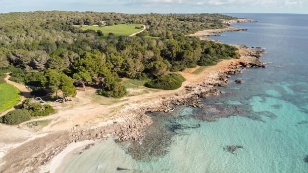 aerial view from drone of a natural paradise beach in the mediterranean, with crystal clear water and white sand. sa Coma Mallorca, Balearic Islands