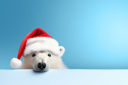 White polar bear in Santa Claus hat isolated on light blue background. New Year or Christmas concept. Banner with a white polar bear and copy space.