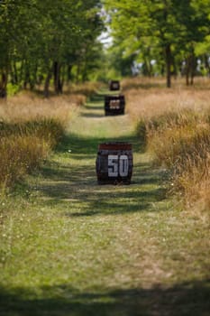 Summer day, barrels with numbers