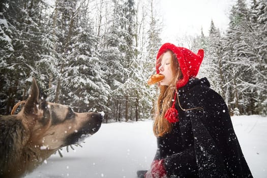 Cute little girl in red cap or hat and black coat with basket of green fir branches treats with pie of big dog shepherd as wolf in snow forest on cold winter day. Fun and fairytale on photo shoot