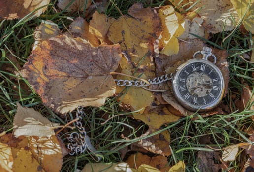 Vintage pocket watch lies on dry yellow leaf and green grass background in autumn fall on ground with sun light. Past time concept, Space for text, Selective focus.