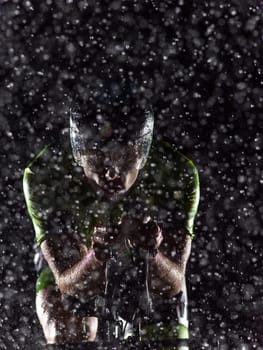 A triathlete braving the rain as he cycles through the night, preparing himself for the upcoming marathon. The blurred raindrops in the foreground and the dark, moody atmosphere in the background add to the sense of determination and grit shown by the athlete