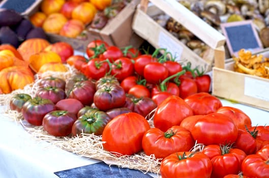 tomatoes are sold at the market