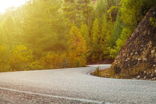 Asphalt road through autumn forest at sunrise